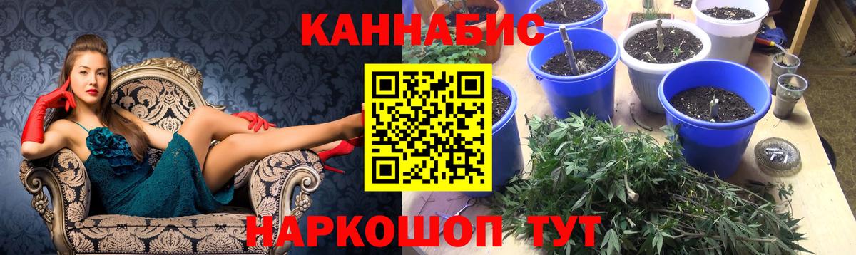 Бошки марихуана SATIVA & INDICA  Каннабис Ganja  Бошки марихуана LSD WEED  МАРИХУАНА сатива  Изобильный  Вход с VPN 